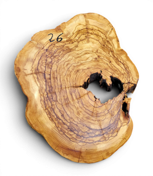 Baumscheibe Olivenholz 026-6