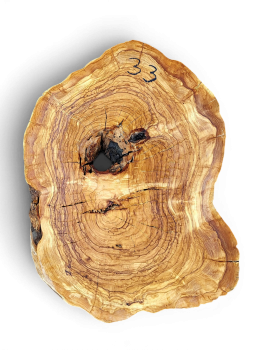 Baumscheibe Olivenholz 033-6