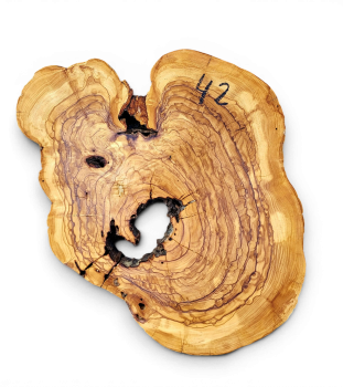 Baumscheibe Olivenholz 042-6