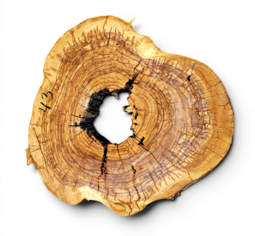 Baumscheibe Olivenholz 043-6