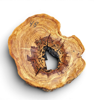 Baumscheibe Olivenholz 048-6