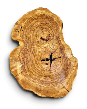 Baumscheibe Olivenholz 051-6