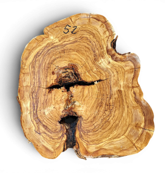 Baumscheibe Olivenholz 052-6