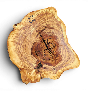 Baumscheibe Olivenholz 053-6