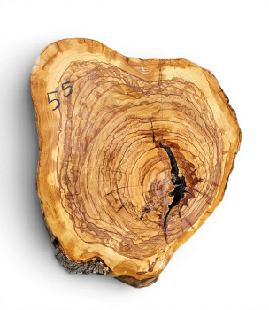 Baumscheibe Olivenholz 055-6