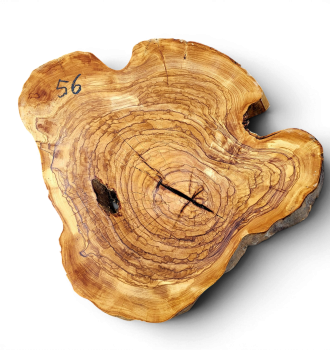 Baumscheibe Olivenholz 056-6