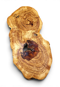 Baumscheibe Olivenholz 057-6
