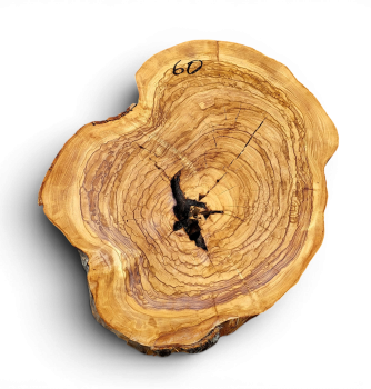 Baumscheibe Olivenholz 060-6