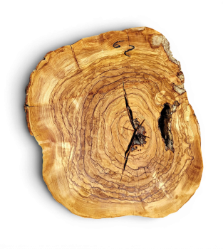 Baumscheibe Olivenholz 062-6