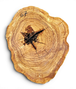 Baumscheibe Olivenholz 067-6
