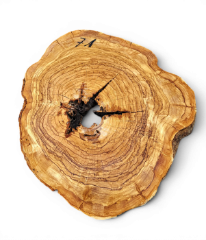Baumscheibe Olivenholz 071-6