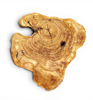 Baumscheibe Olivenholz 073-6