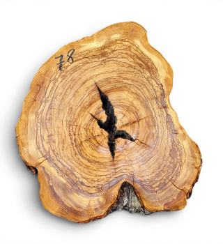 Baumscheibe Olivenholz 078-6