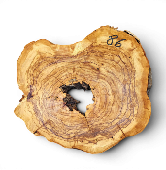 Baumscheibe Olivenholz 086-6