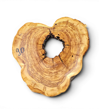 Baumscheibe Olivenholz 090-6