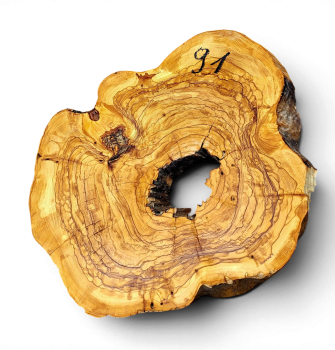 Baumscheibe Olivenholz 091-6