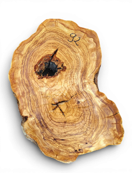 Baumscheibe Olivenholz 092-6