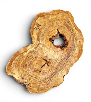 Baumscheibe Olivenholz 094-6