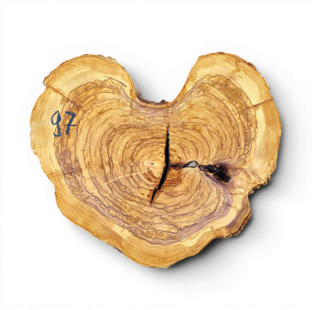 Baumscheibe Olivenholz 097-6