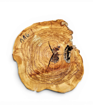 Baumscheibe Olivenholz 116-6