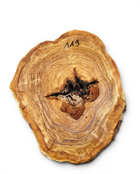 Baumscheibe Olivenholz 119-6