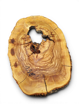 Baumscheibe Olivenholz 138-6