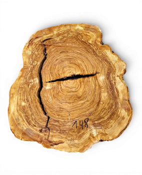 Baumscheibe Olivenholz 148-6