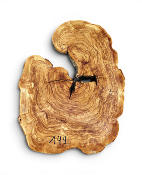 Baumscheibe Olivenholz 149-6