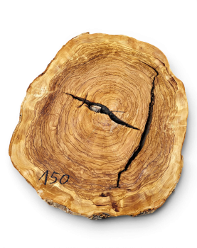 Baumscheibe Olivenholz 150-6