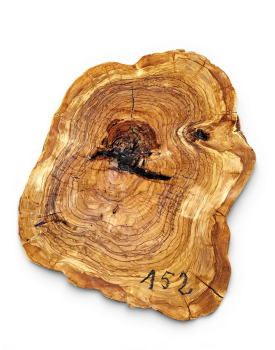 Baumscheibe Olivenholz 152-6