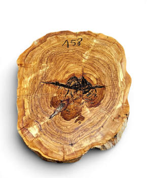 Baumscheibe Olivenholz 158-6