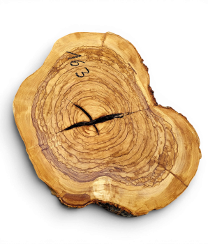 Baumscheibe Olivenholz 163-6