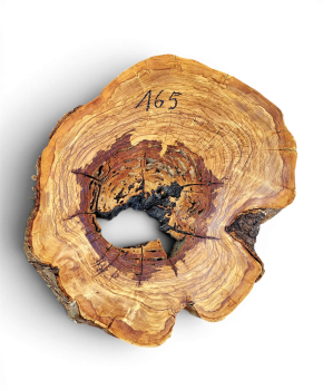Baumscheibe Olivenholz 165-5