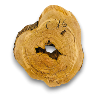 Baumscheibe Olivenholz C16