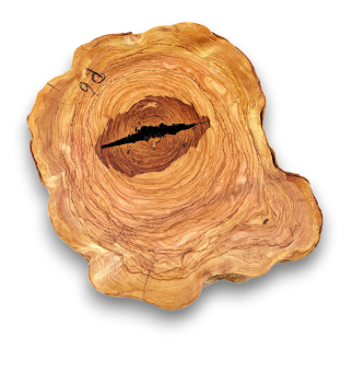 Baumscheibe Olivenholz P06