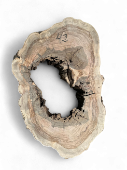 Baumscheibe Olivenholz 42-1