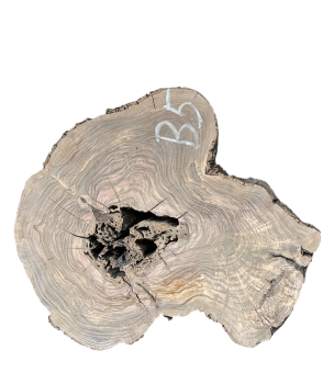 Baumscheibe Olivenholz B05