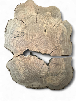 Baumscheibe Olivenholz C29 - gebrochen
