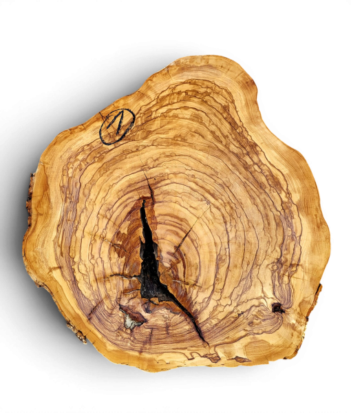 Baumscheibe Olivenholz 001-6