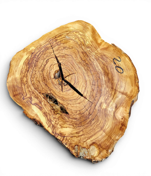 Baumscheibe Olivenholz 020-6