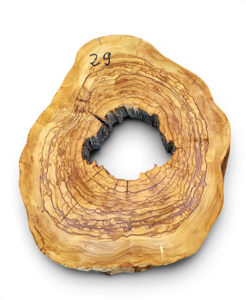 Baumscheibe Olivenholz 029-6