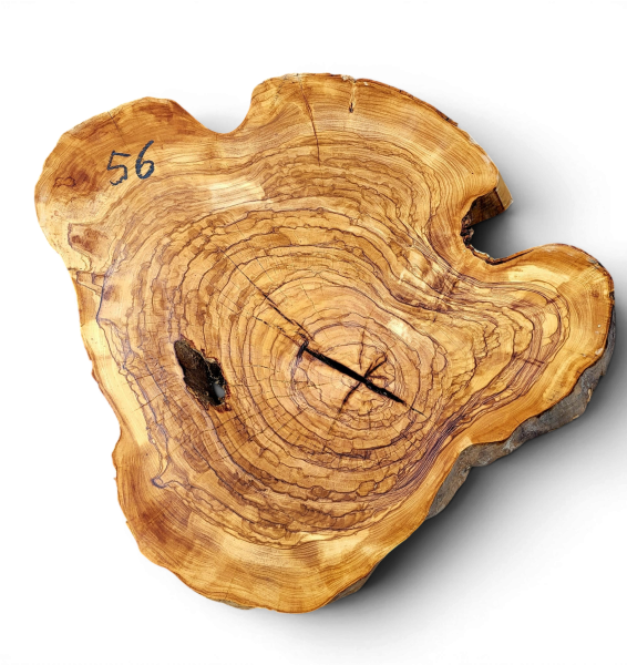 Baumscheibe Olivenholz 056-6