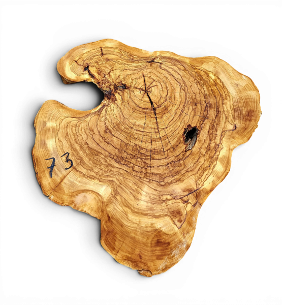 Baumscheibe Olivenholz 073-6