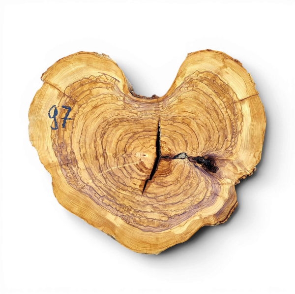Baumscheibe Olivenholz 097-6