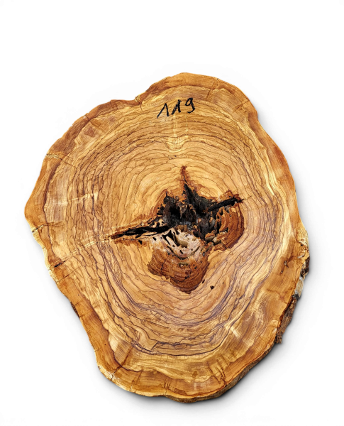 Baumscheibe Olivenholz 119-6