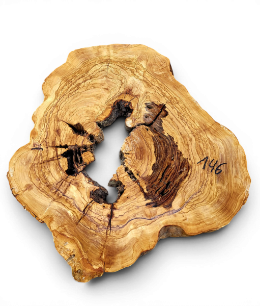 Baumscheibe Olivenholz 146-6