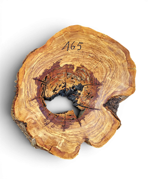 Baumscheibe Olivenholz 165-5