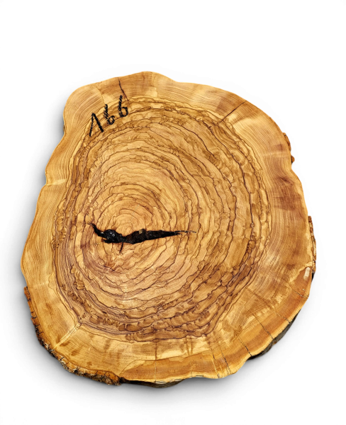 Baumscheibe Olivenholz 166-6