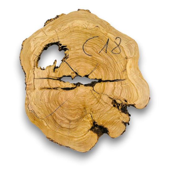 Baumscheibe Olivenholz C18