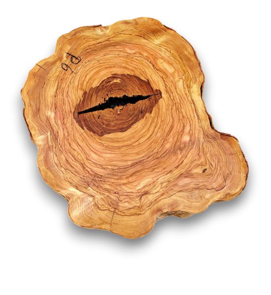 Baumscheibe Olivenholz P06